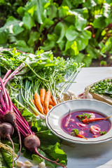 Beetroot soup with fresh vegetables on field