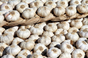 String of garlic, Cedrillas street market,Teruel,Aragon,Spain