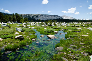 Yosemite National Park