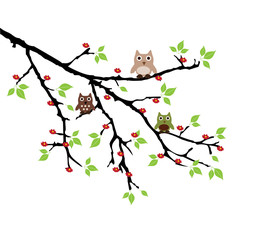 vector tree branch with owls