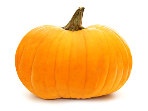 Single pumpkin isolated on white