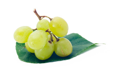 Obraz premium grapes Isolated on the white