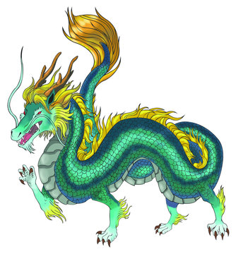 Beautiful Chinese dragon illustration