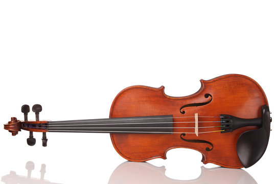 Violin