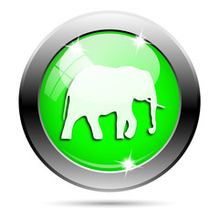 Metallic green glossy icon