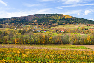 Polish countryside landscape