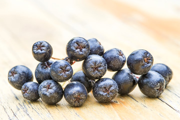 Aronia Beere, Aronia melanocarpa
