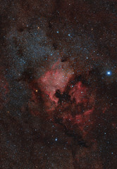 Nebulosa nel cielo notturno