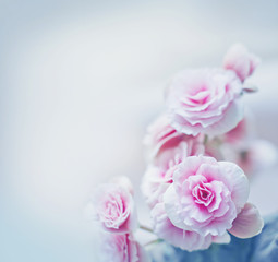 Fototapeta na wymiar Roses in vintage style/Pink flower background
