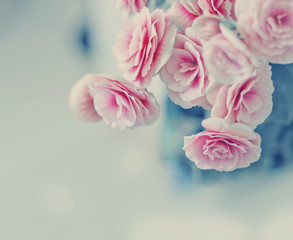 Roses in vintage style/Pink flower background