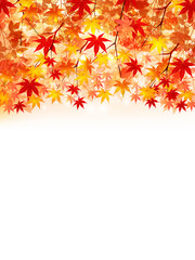 もみじ　紅葉　背景
