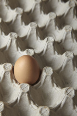 Egg on the kitchen counter