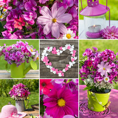 Rosa Gartenidylle - Collage