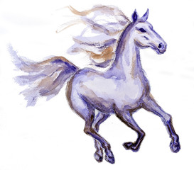 Naklejka na ściany i meble Horse in motion, watercolor painting