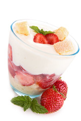 isolated tiramisu