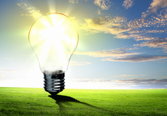 Light bulb and nature
