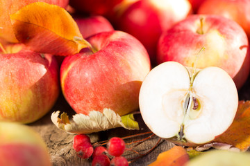 Fruits and vegetables in autumn