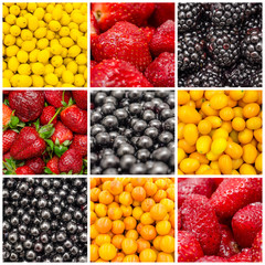 Exotic Summer Fruits Collage Set