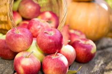 Fruits and vegetables in autumn