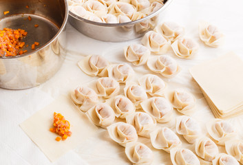 Homemade chinese dumpling