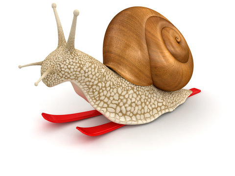 Snail and Skiing (clipping path included)