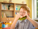Little redhead schoolboy eating sandwich in class