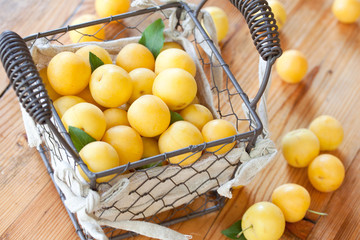 erntefrische mirabellen