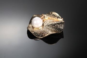 jewelery brooch