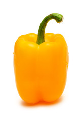 Yellow paprika