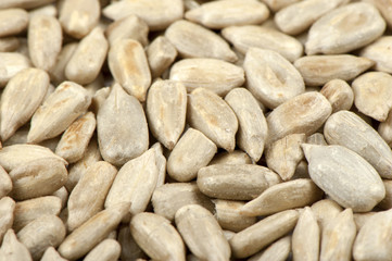 Sunflower seeds