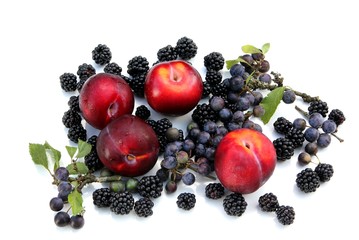 autumn fruits