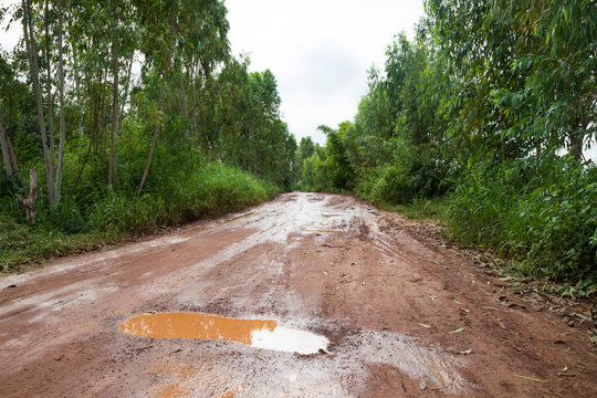 грязь на дороге. дорожка из грязи. грязная дорога в луизиане. Mud road. Mud road pure.