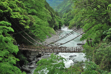 Pont de lianes Kazura-bashi à Nishi-Iya, Shikoku, Japon