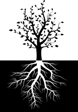 tree silhouette with roots