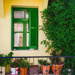 Green window with flowerpots