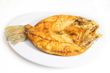 Fried snapper fish