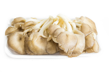 Oyster mushroom stack