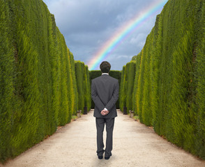 Rainbow © zmijak