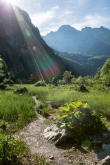 Lichtstrahlen in der Landschaft