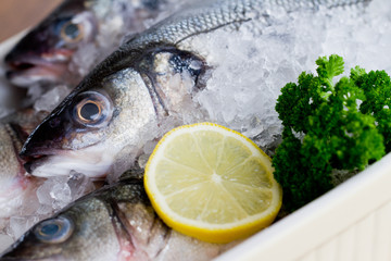 Seafood, fish - fresh sea dorada in ice, healthy food