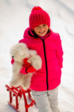 Winter sledding - girl with puppy playing in snow