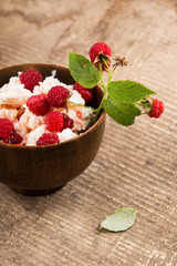 Dairy products - cottage cheese