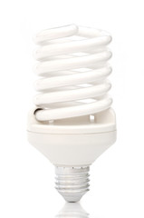 light bulb in white background .