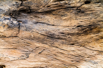 brown log wood texture