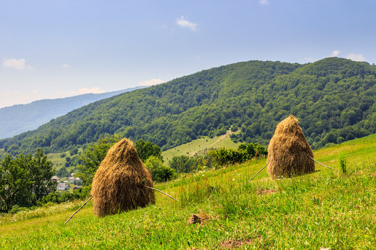 haystacks on hillside near the village