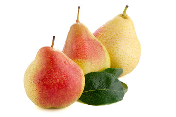 Three ripe pears