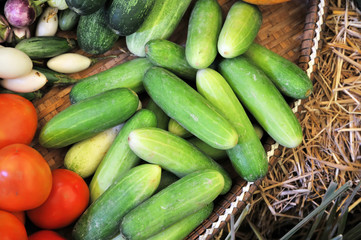 green cucumber