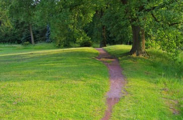 Park mit Weg - park with track 01