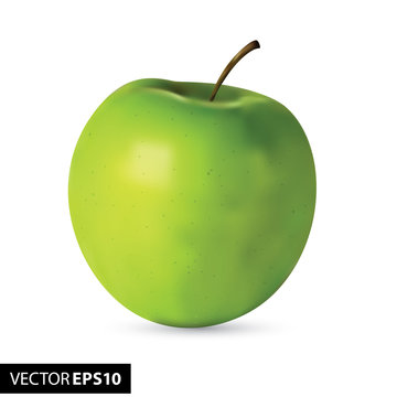 Fresh green realistic apple on white background