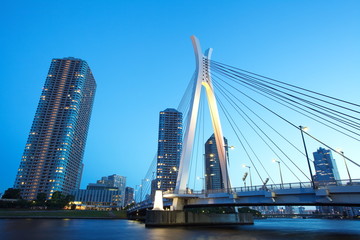 Fototapeta premium Pejzaż Tokio, rzeka Sumida
